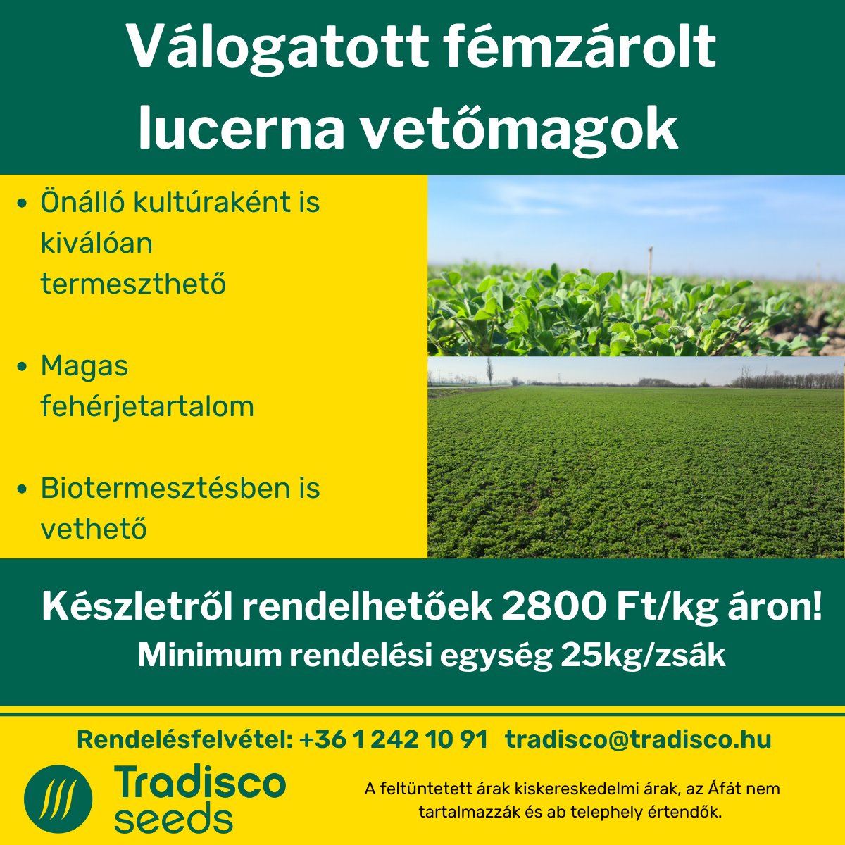 tradisco lucerna